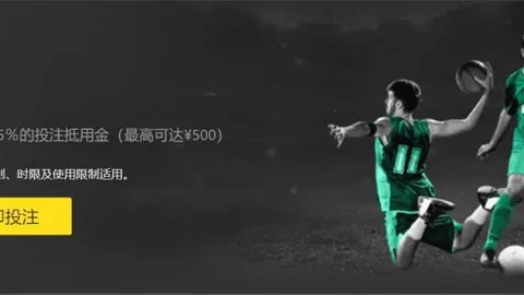 中国女子网球队挺进比利·简·金杯世界组预选赛——新华网报道